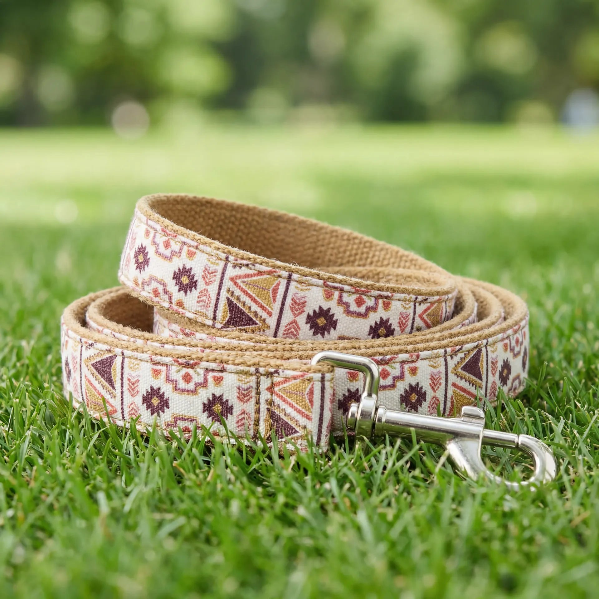 Training Dog Leash — Zoro Pets