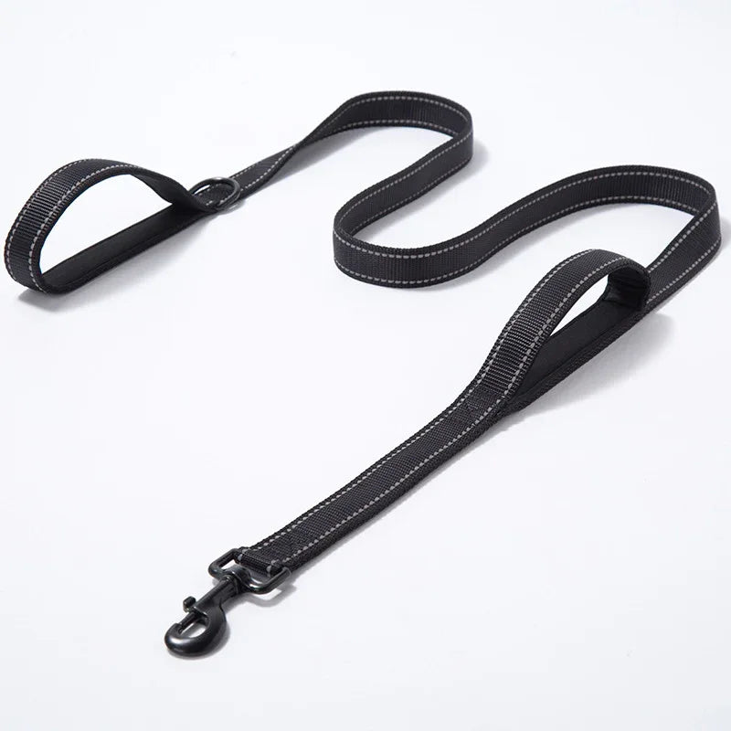 Reflective Nylon Dog Leash