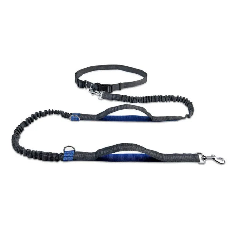 Multifunction Dog Leash