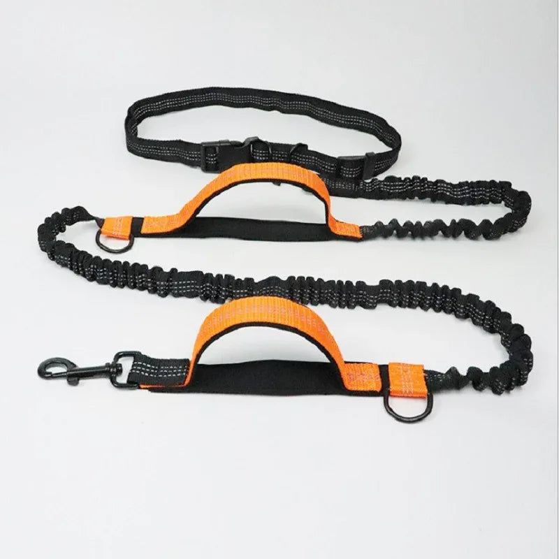 Multifunction Dog Leash
