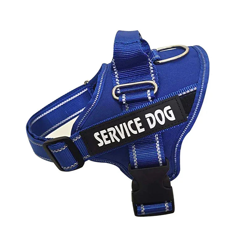 Personalized Pet Harness
