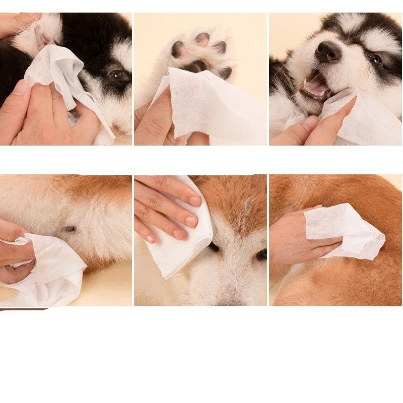 Pet Cleaning Wipes