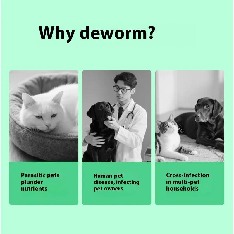 Dog Itch Relief Soft Chews