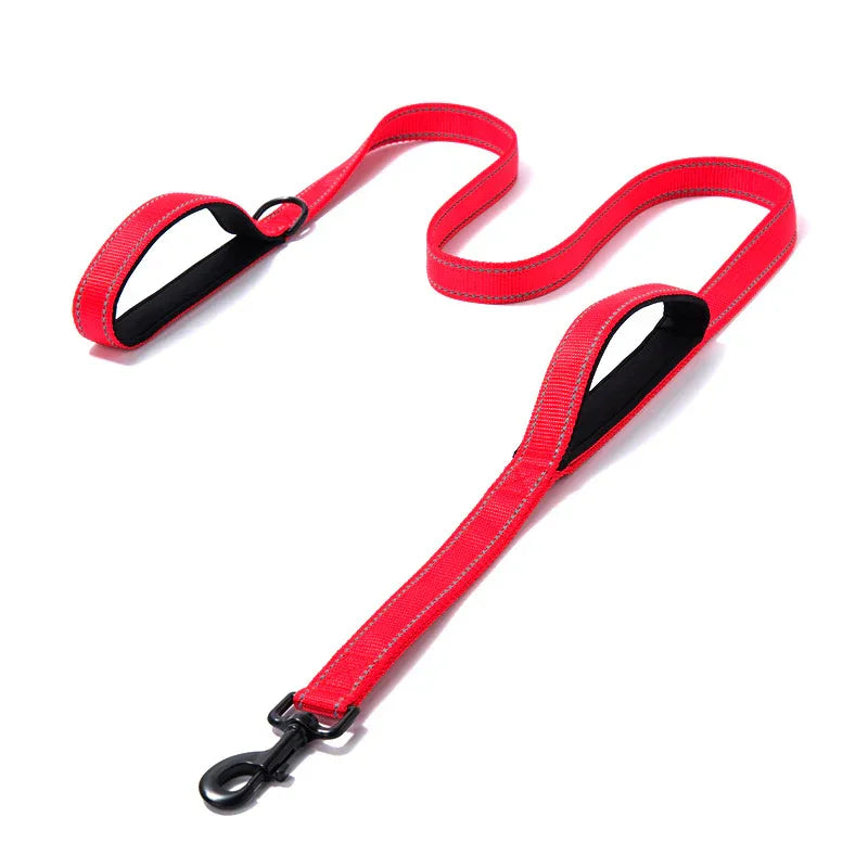 Reflective Nylon Dog Leash