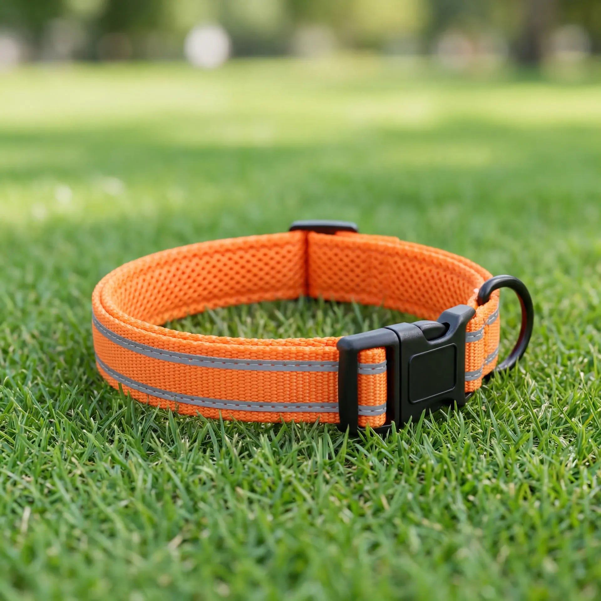 Breakaway Pet Collar — Zoro Pets