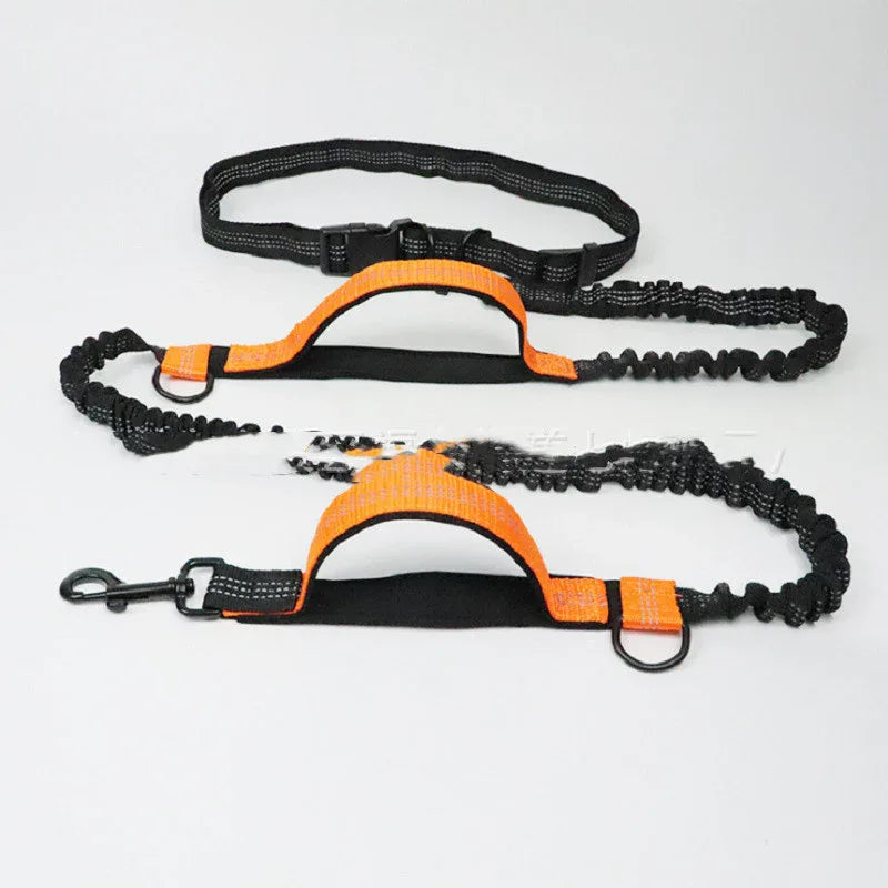 Multifunction Dog Leash